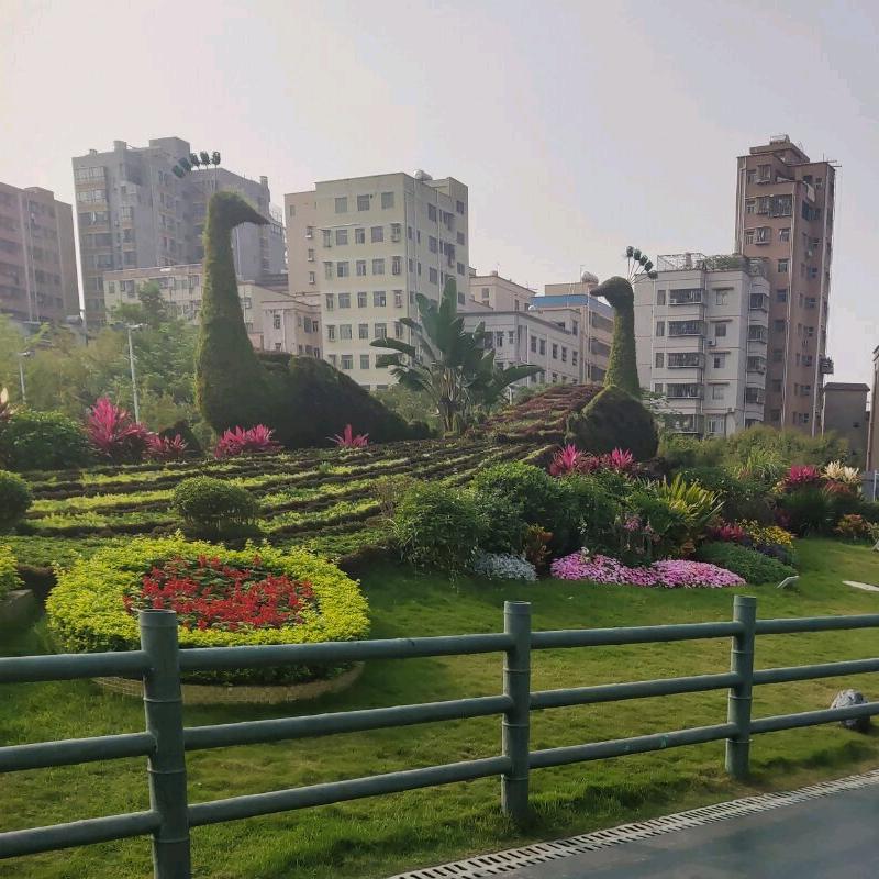 好男儿志在四方