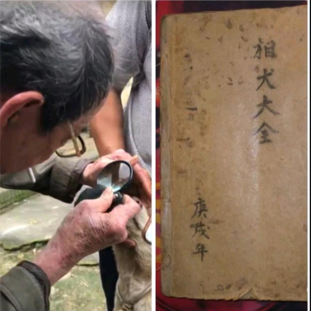 小山精品