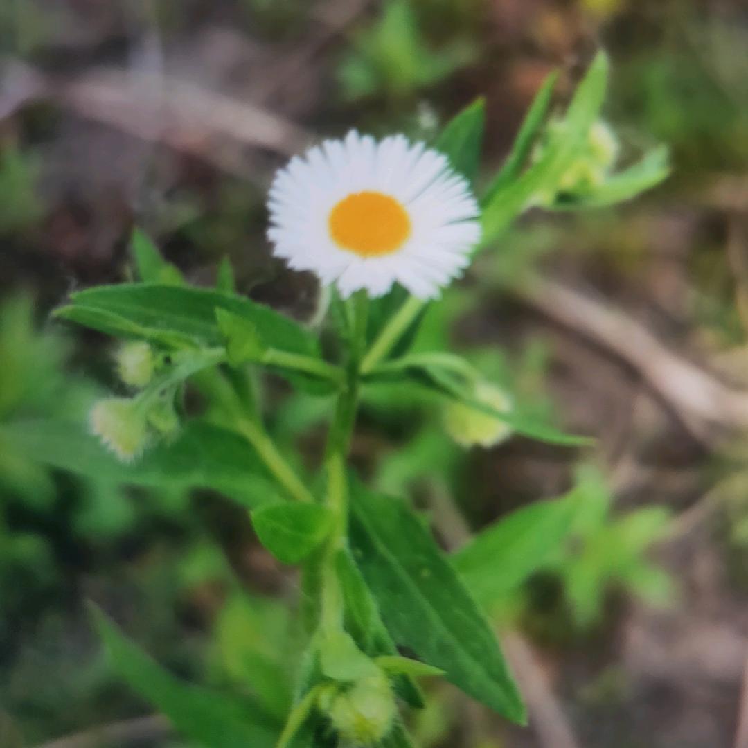 保持自我🔆