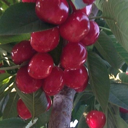 用户9696592482195山海情