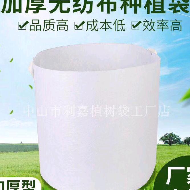 靓仔无罪