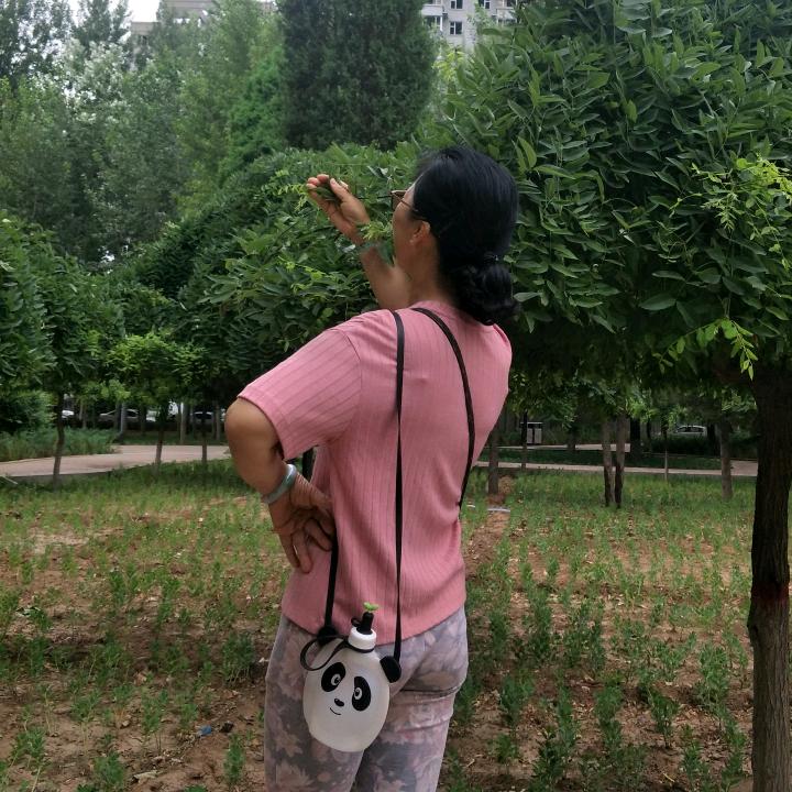 榮儿