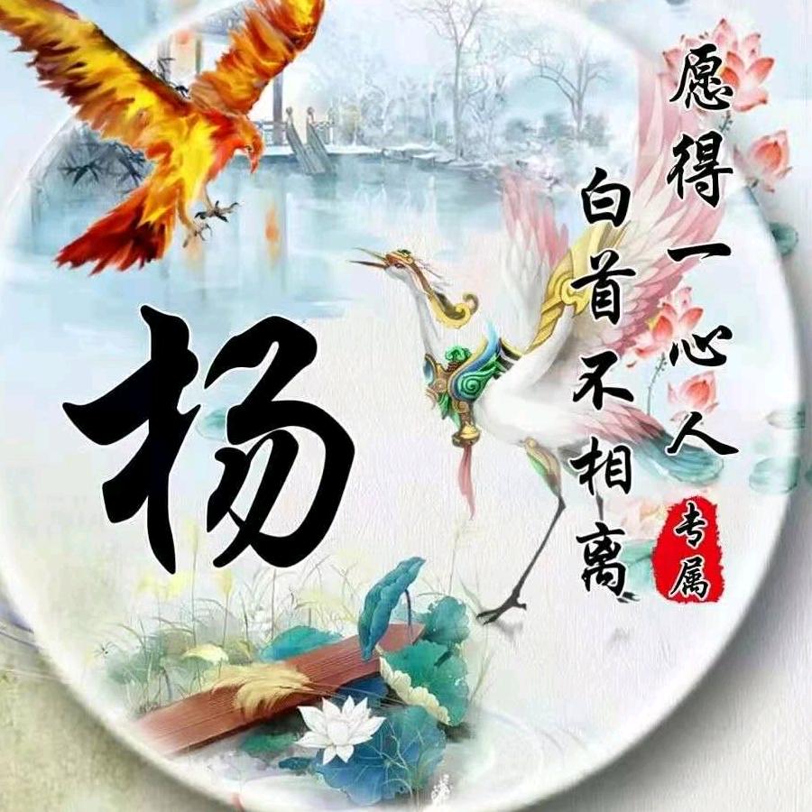 舜扬~棉花糖