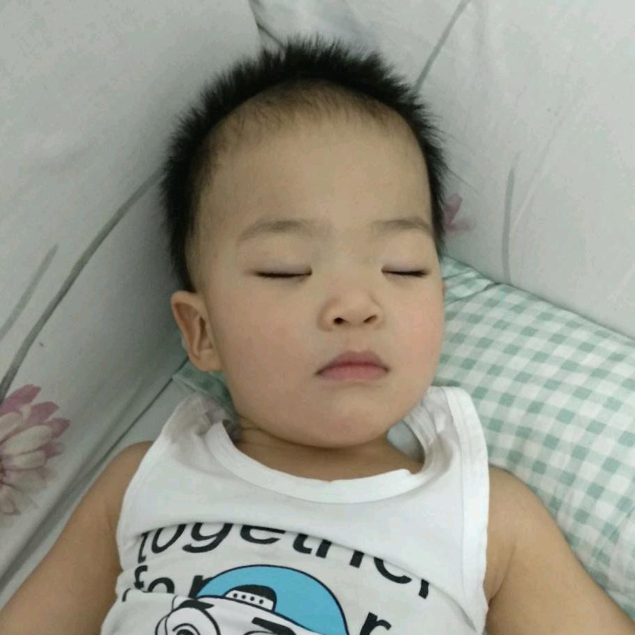 小鼹鼠