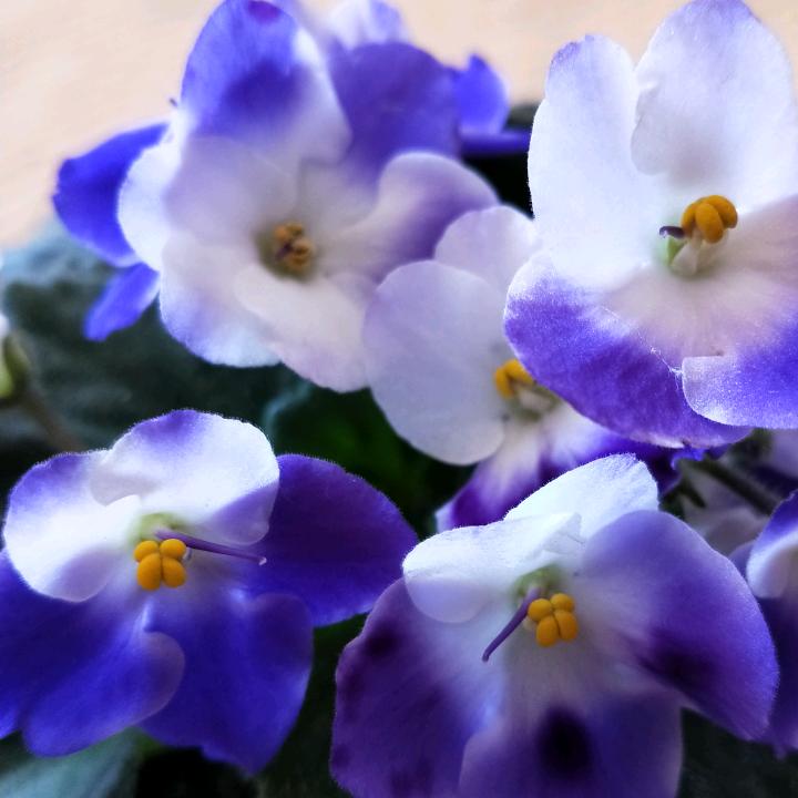 北方~