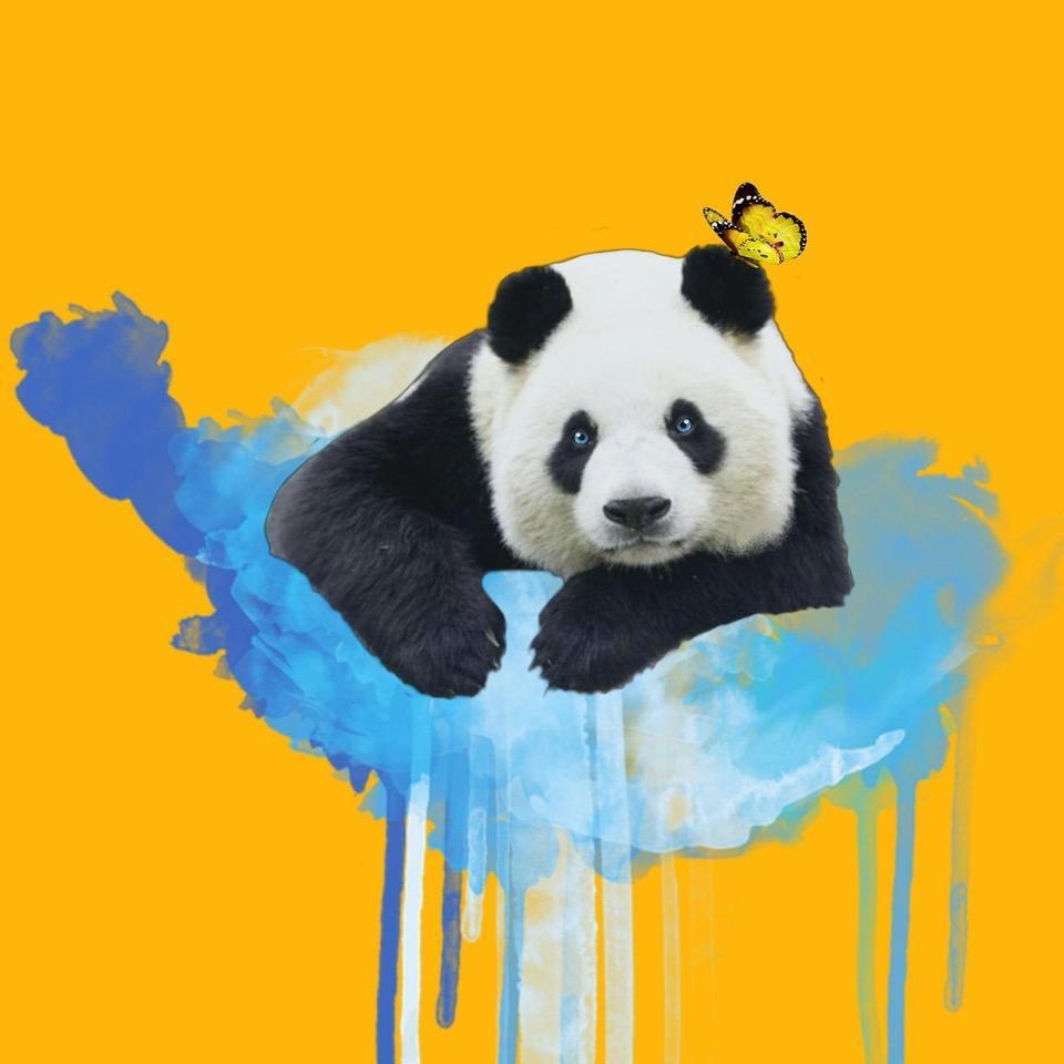发现号