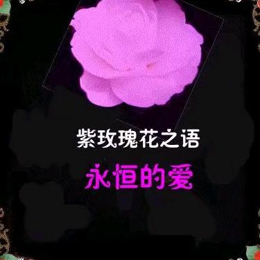 记忆犹新