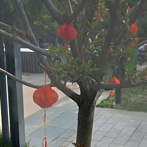 师兄