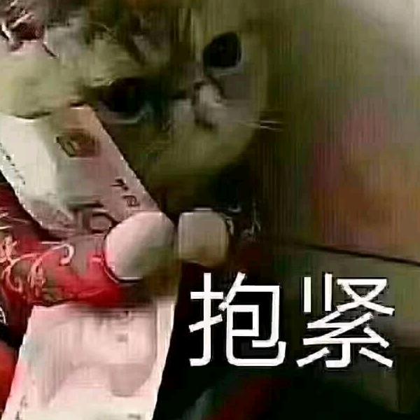 [情    缘]