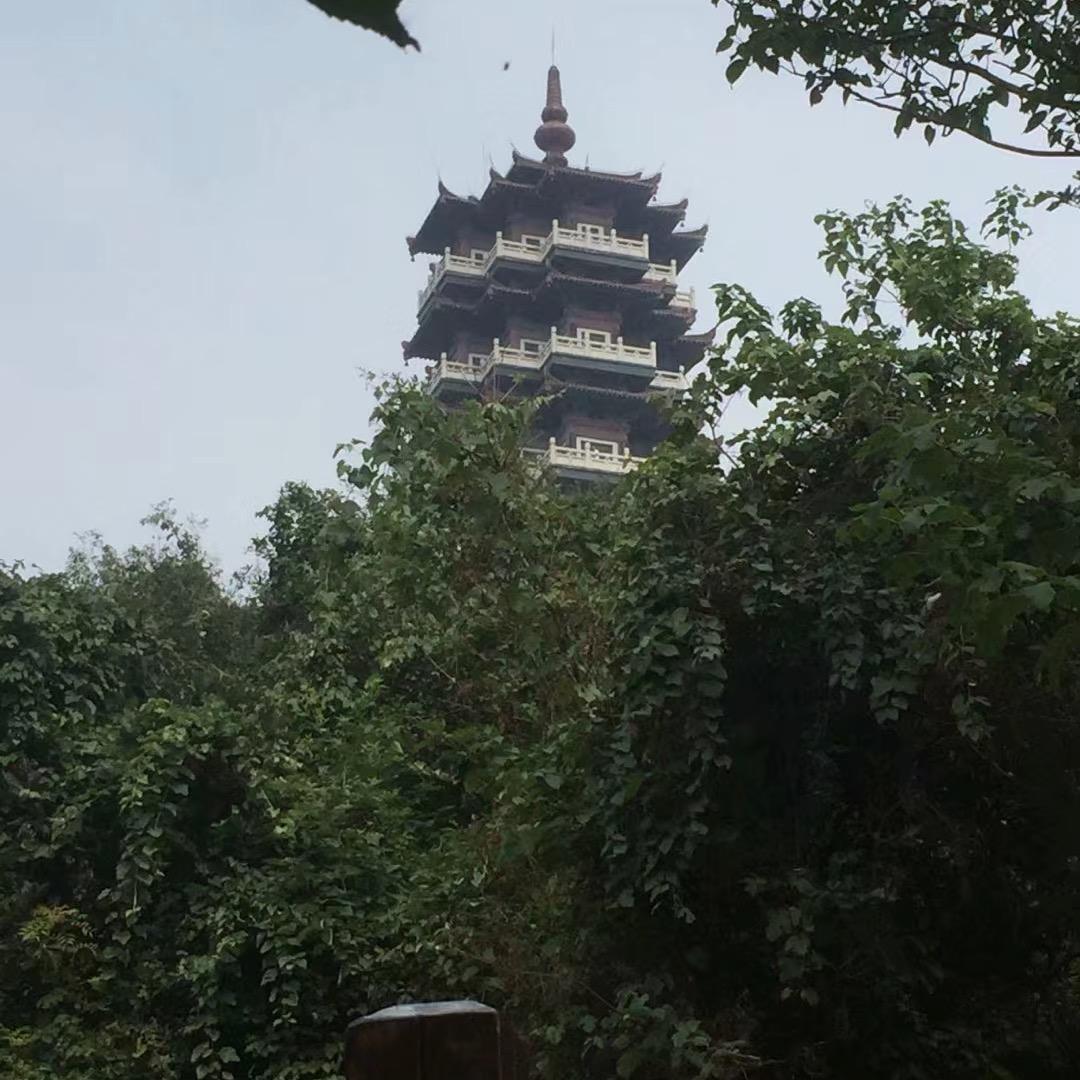 雪宝宝，