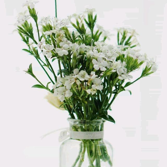 用户7779456126695‘