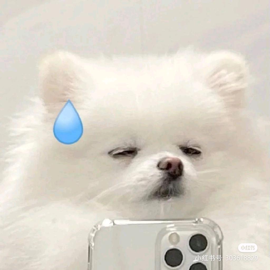 告白信