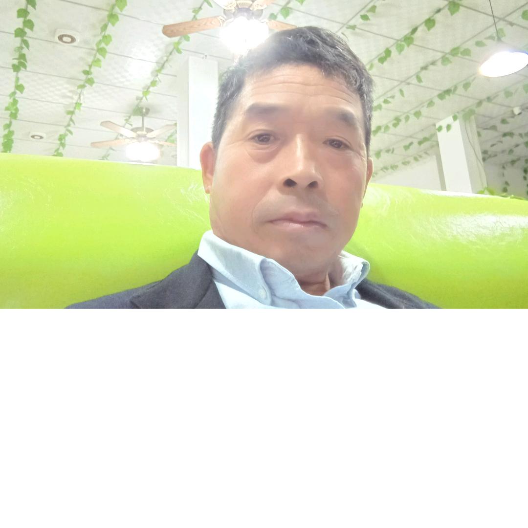 淡淡我心