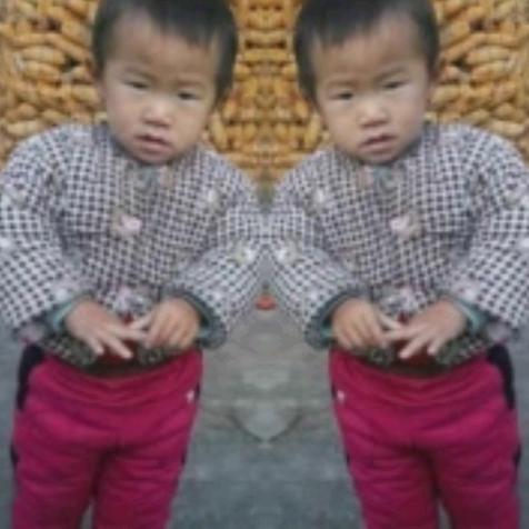 王智