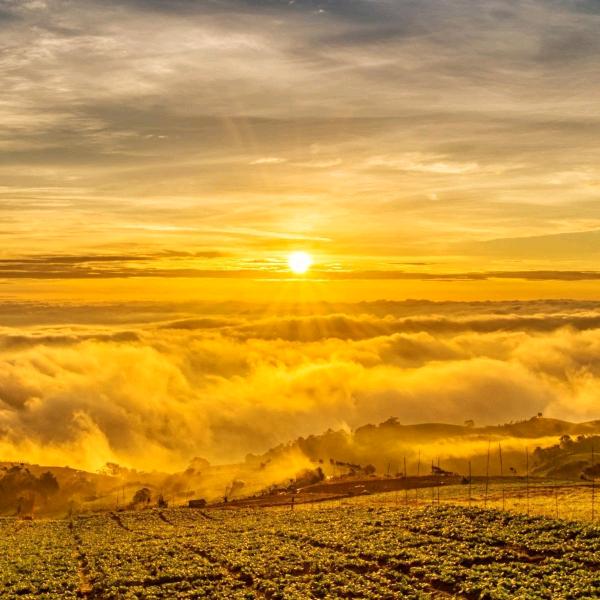徐正斌…冬季的太阳