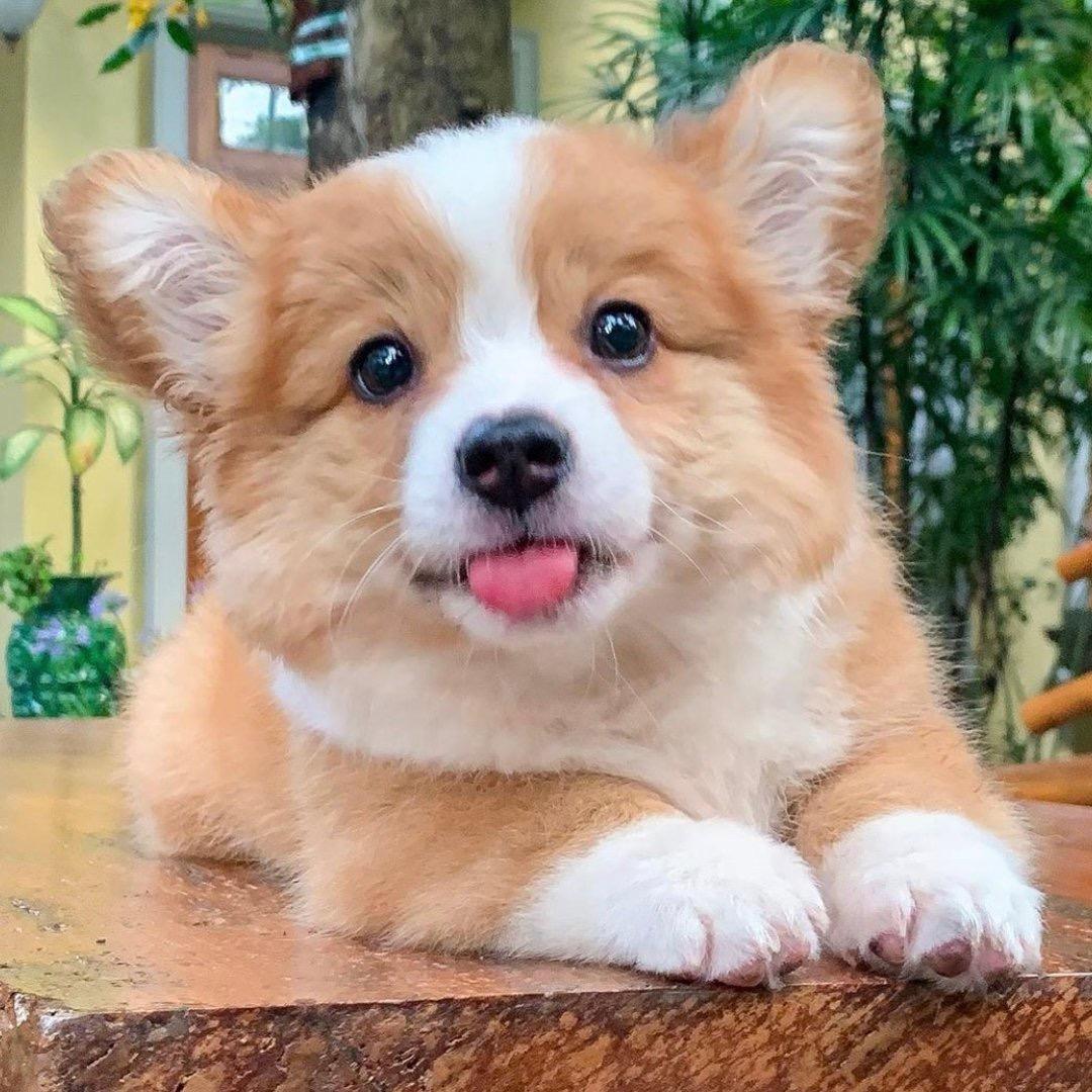 一贤