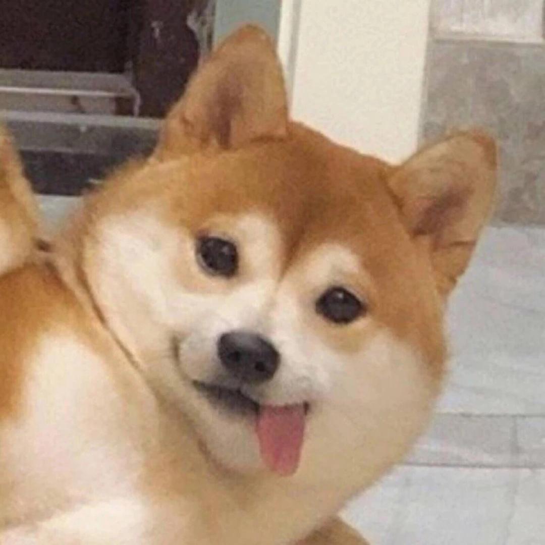 Qqqqqqqq