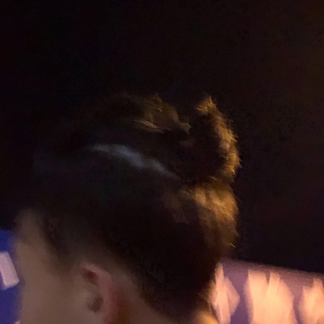 九八年属鹤的