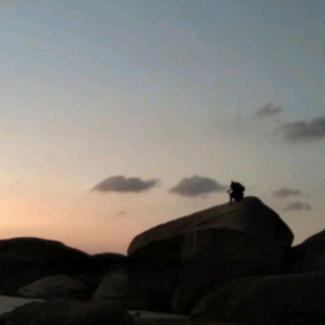 🌚᭄加勒比海带🌚᭄
