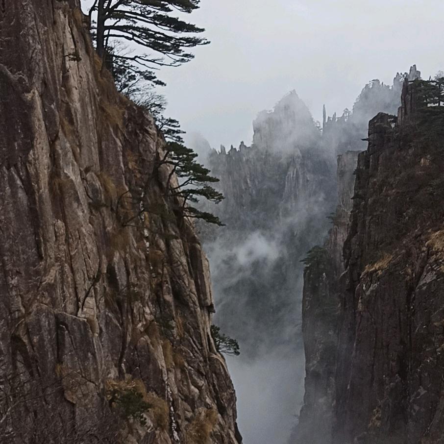 王敦全