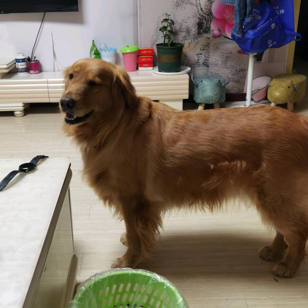 一心康箐莙畔-大河马