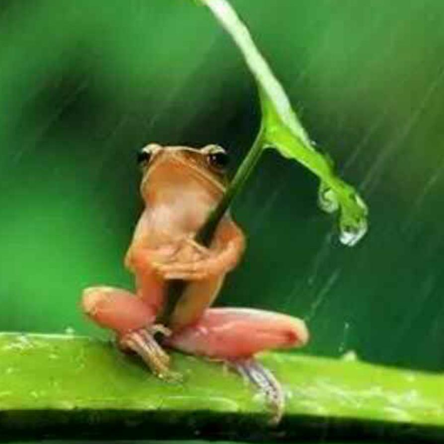 及时雨