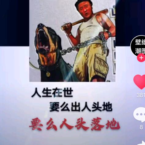 淡定的冲动
