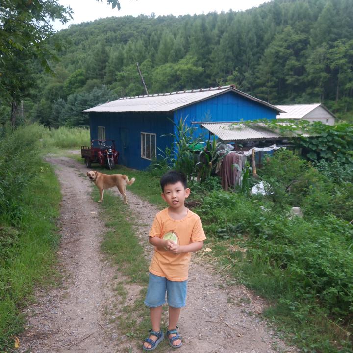 山泉林场干豆腐笨猪肉