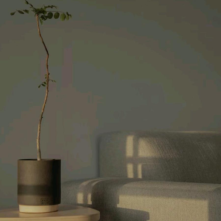 中央空调，新风，地暖，净水