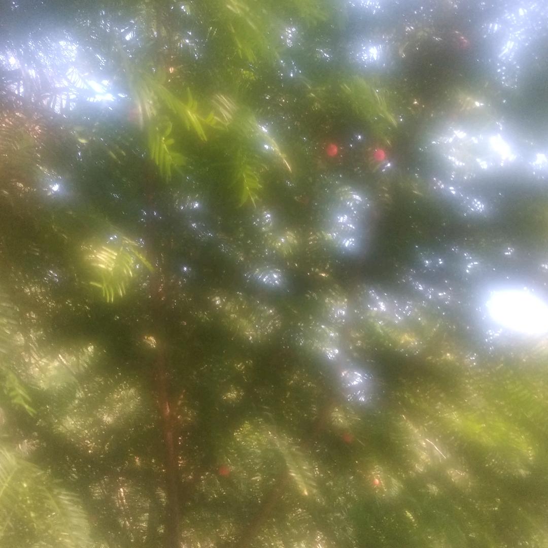 用户6032136814691