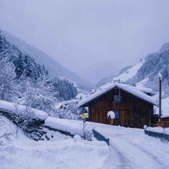 阳春白雪
