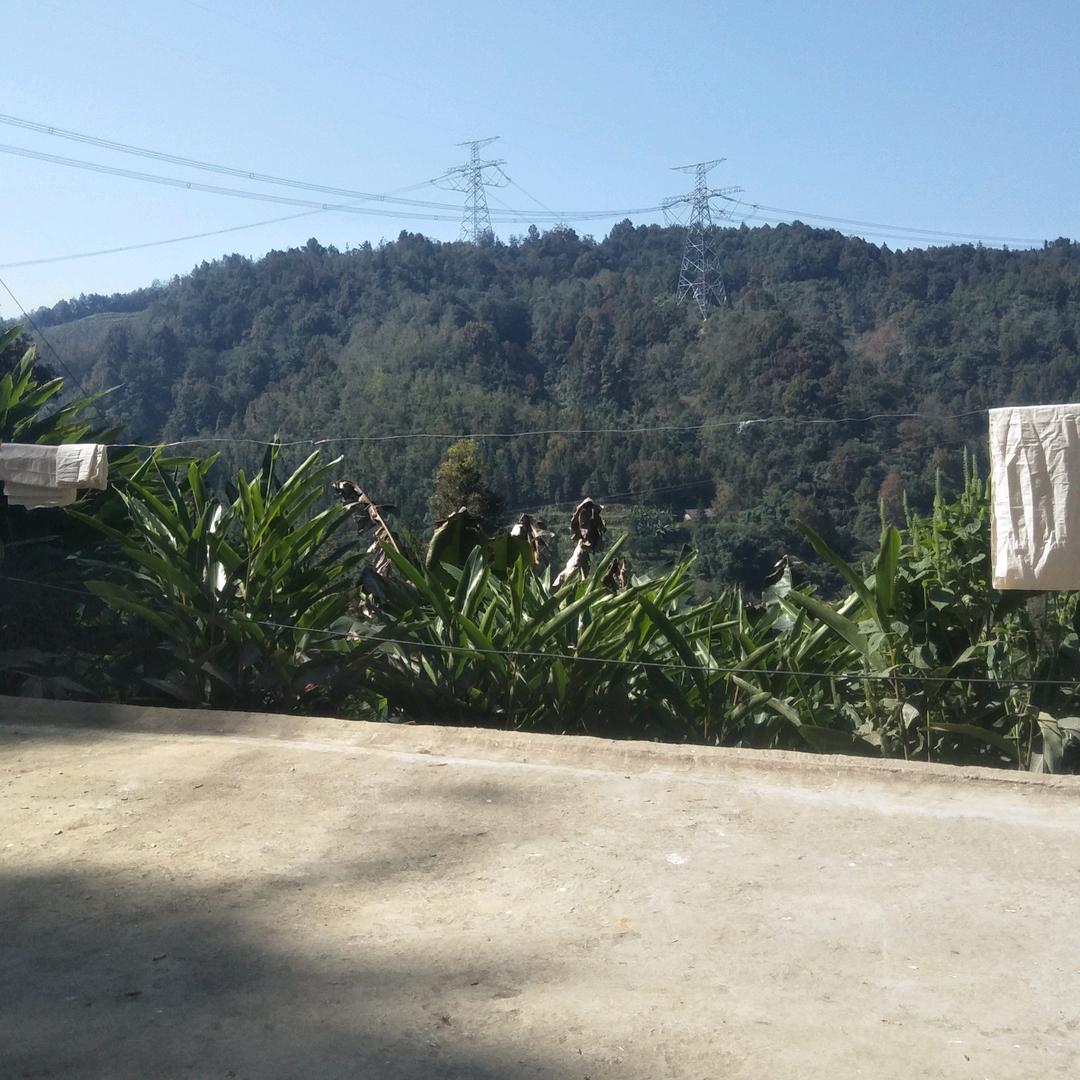 学峰