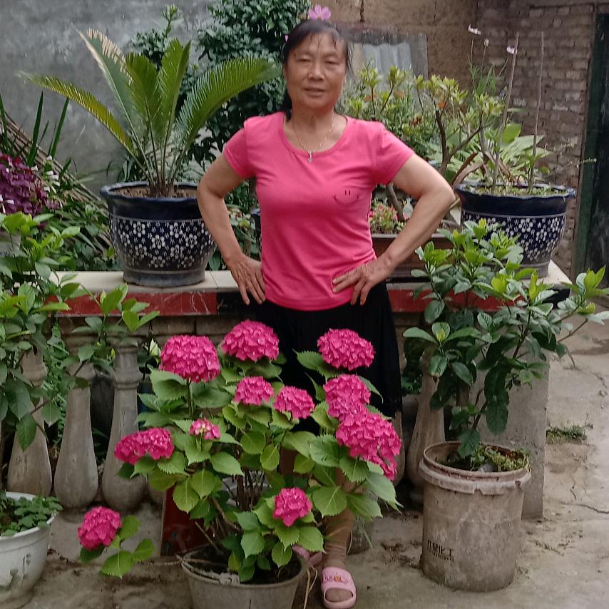 李胜翠