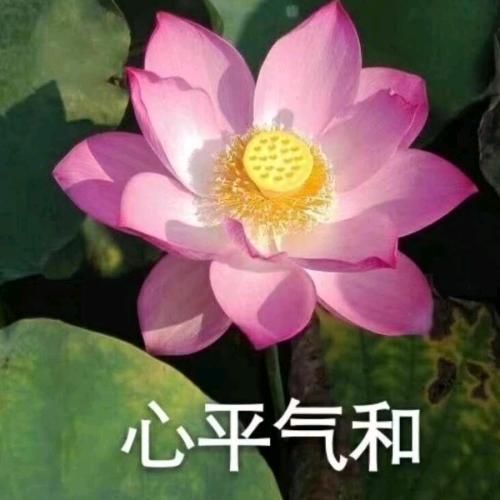 和颜悦色