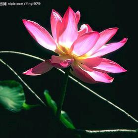 快快乐乐一家人