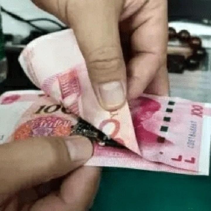💋识大体