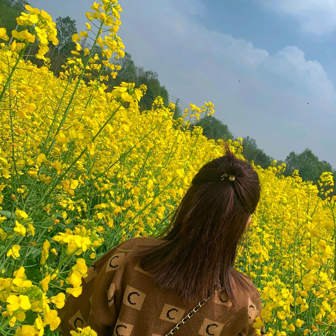 美好时光不期而遇