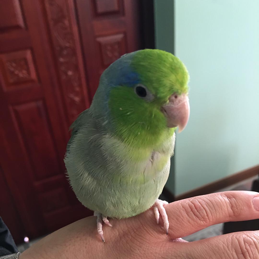 雨后的阳光🐧