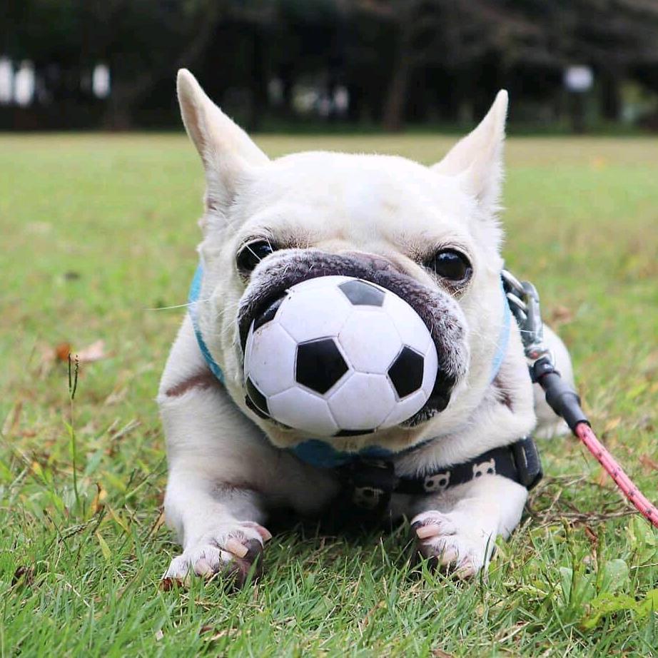 三角洲普坝环卫工