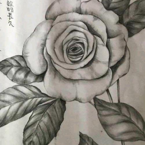 漂落的黄叶