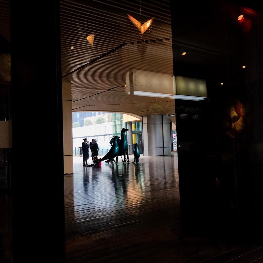 SAUDADE 　  　　　　🪳