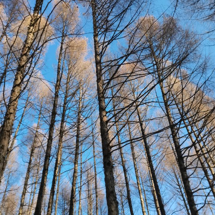 山川