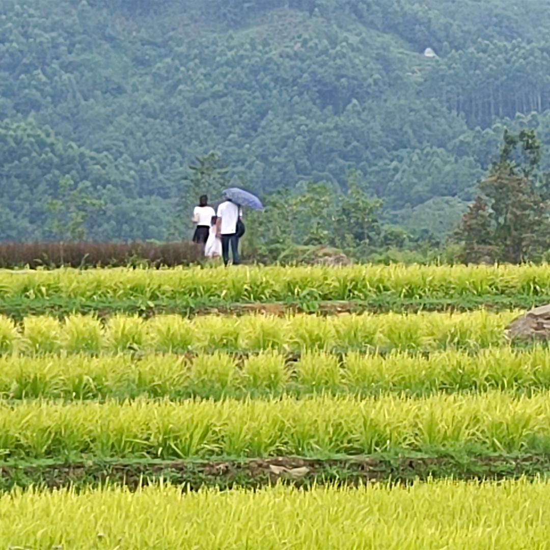 心怡
