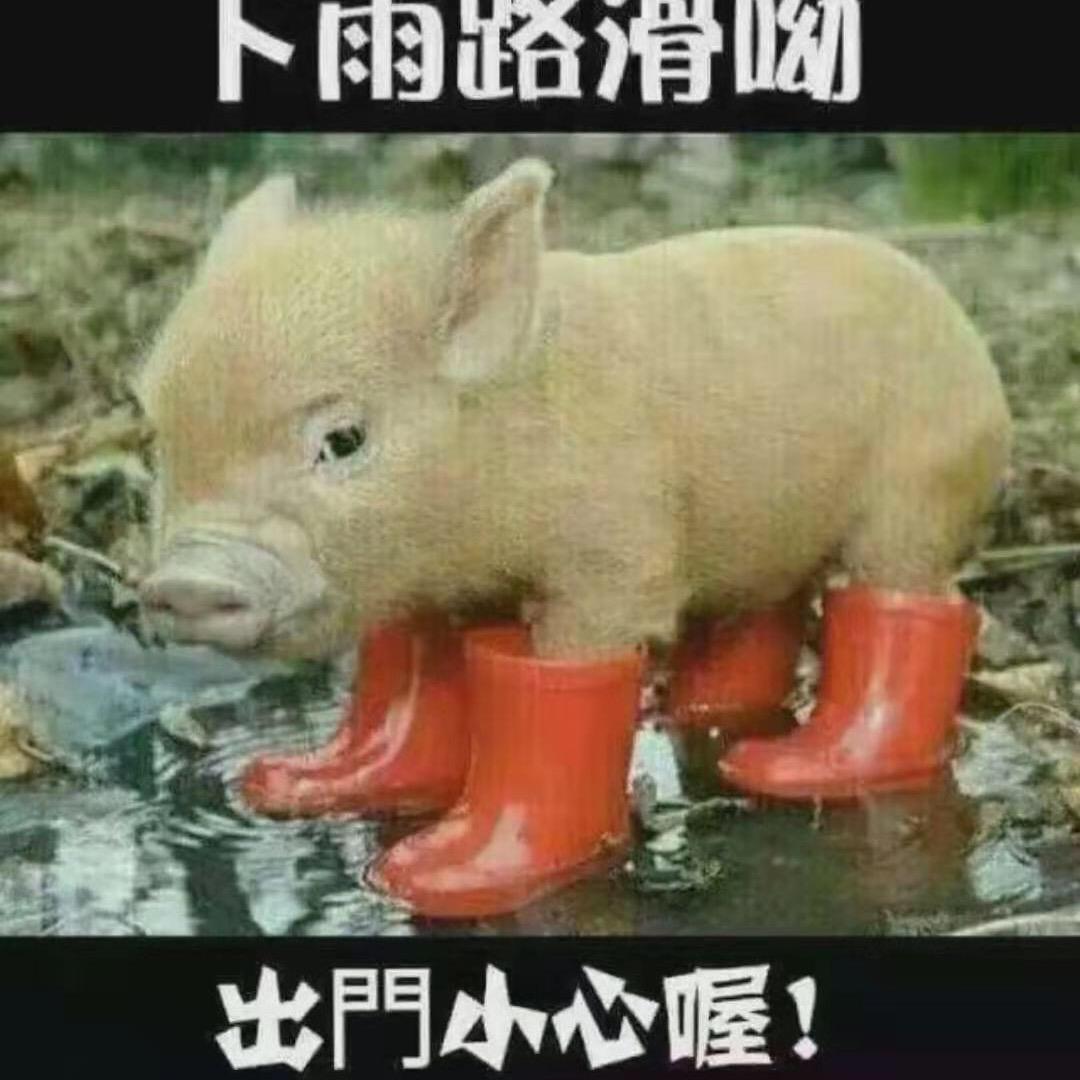 梁玉？?