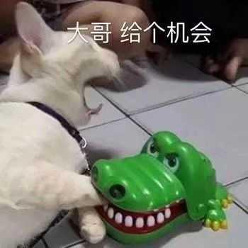 麦门永存
