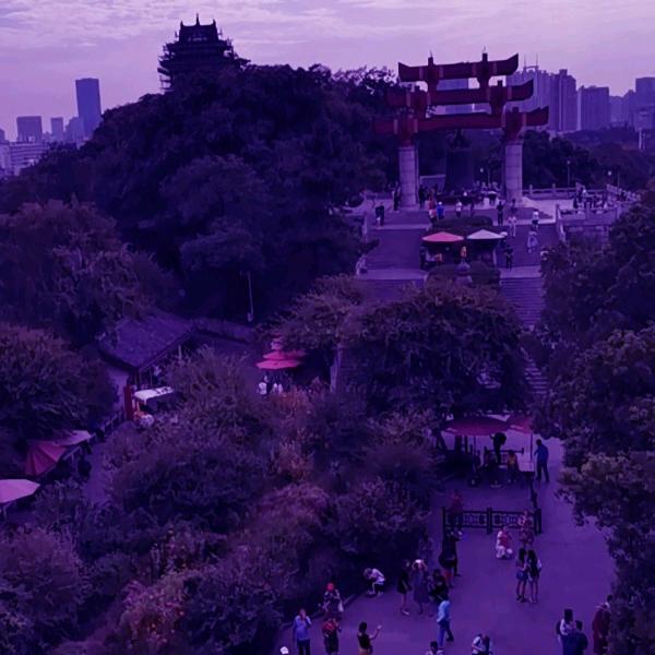 姿雨