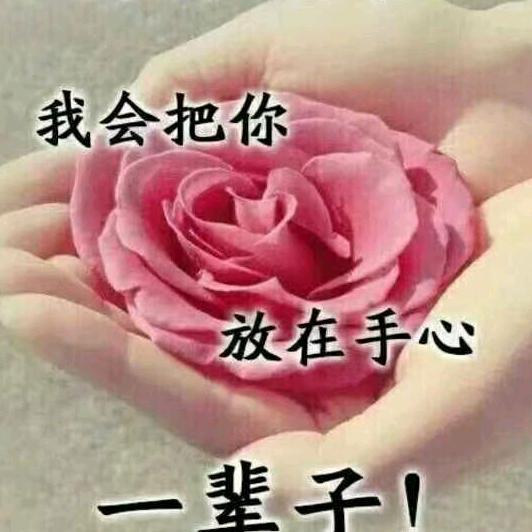 小🌛千与🌙千寻?