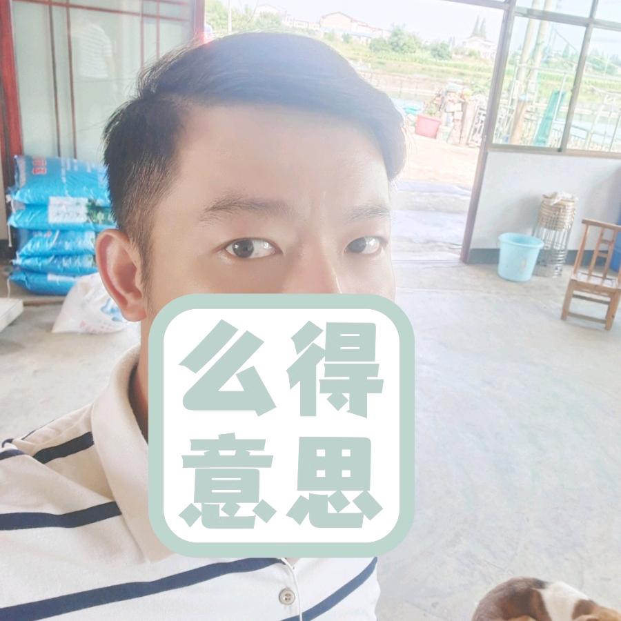 雁南飞
