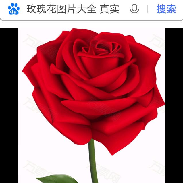 何必在意