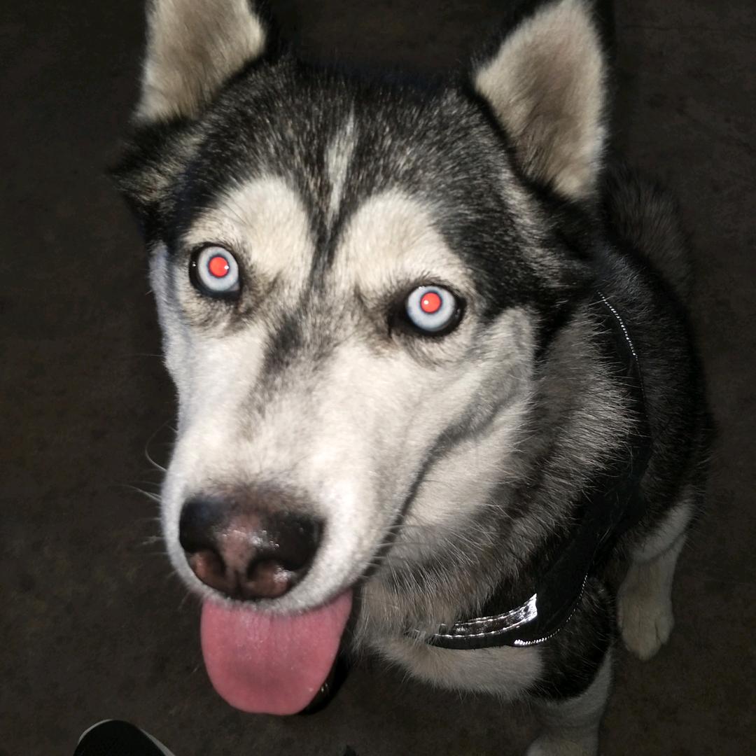 ✌(̿▀̿ ̿Ĺ̯̿̿▀̿ ̿)✌